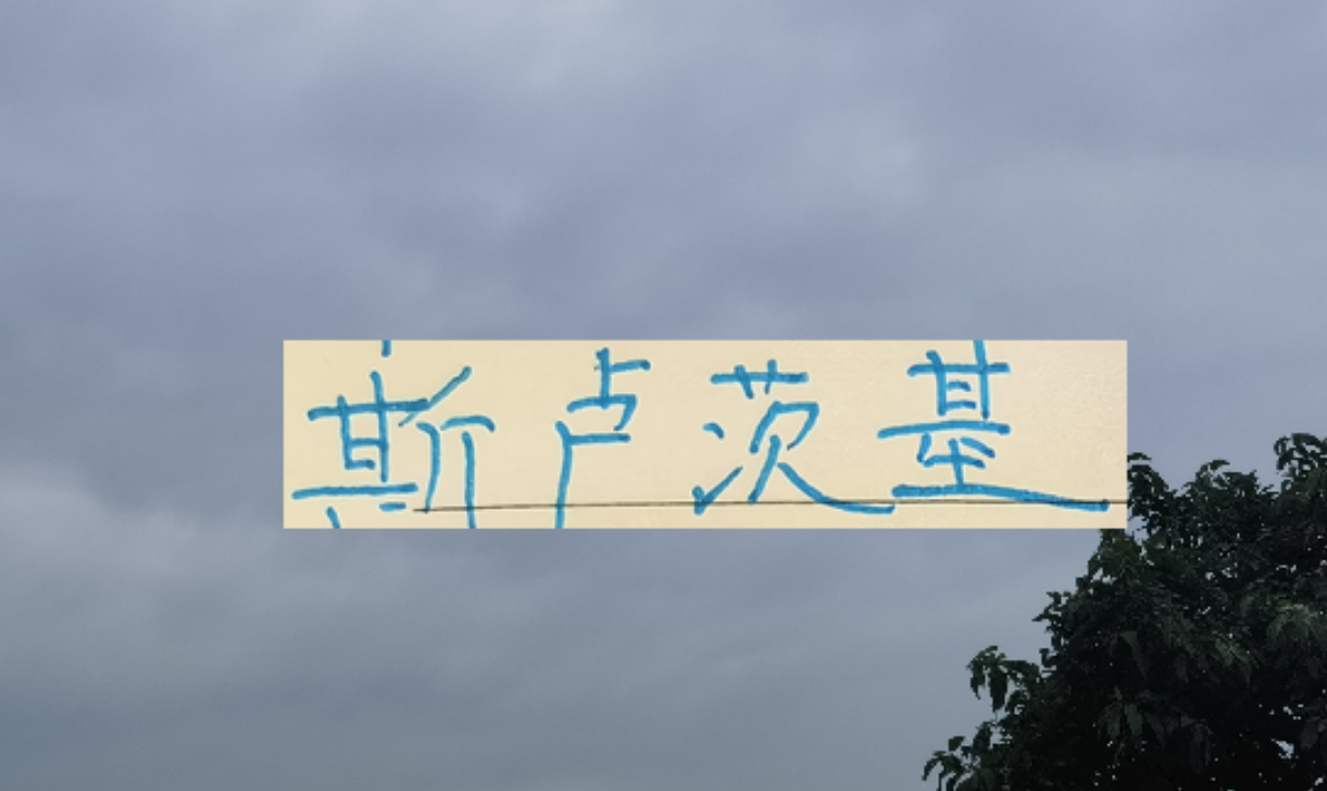 柠檬体育直播-2026赛季！申花“司机”还会三线全力以赴吗